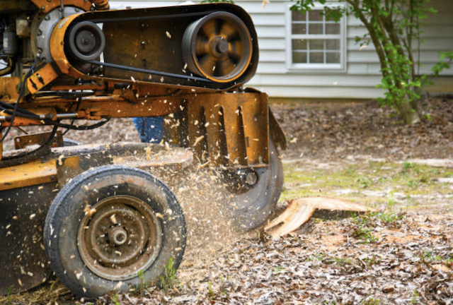 stump grinding Bakersfield ca